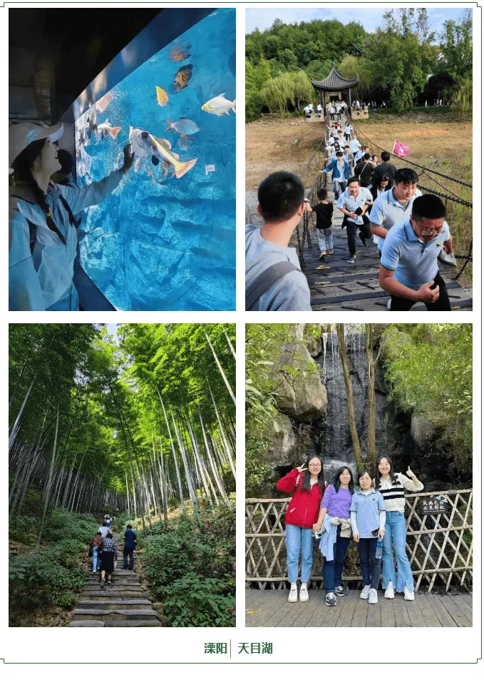 秋日团建活动拍照留念 2024元旦快乐,感谢有你!(图12)